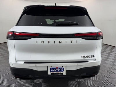 2026 INFINITI QX60 SPORT