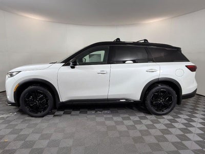 2026 INFINITI QX60 SPORT